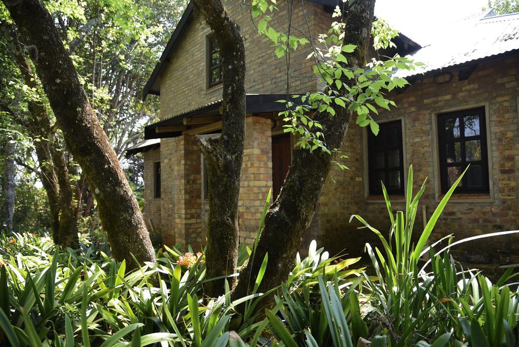 Molly'S Cottage Graskop Kültér fotó
